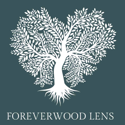 Asheville Wedding Photographer Foreverwood Lens