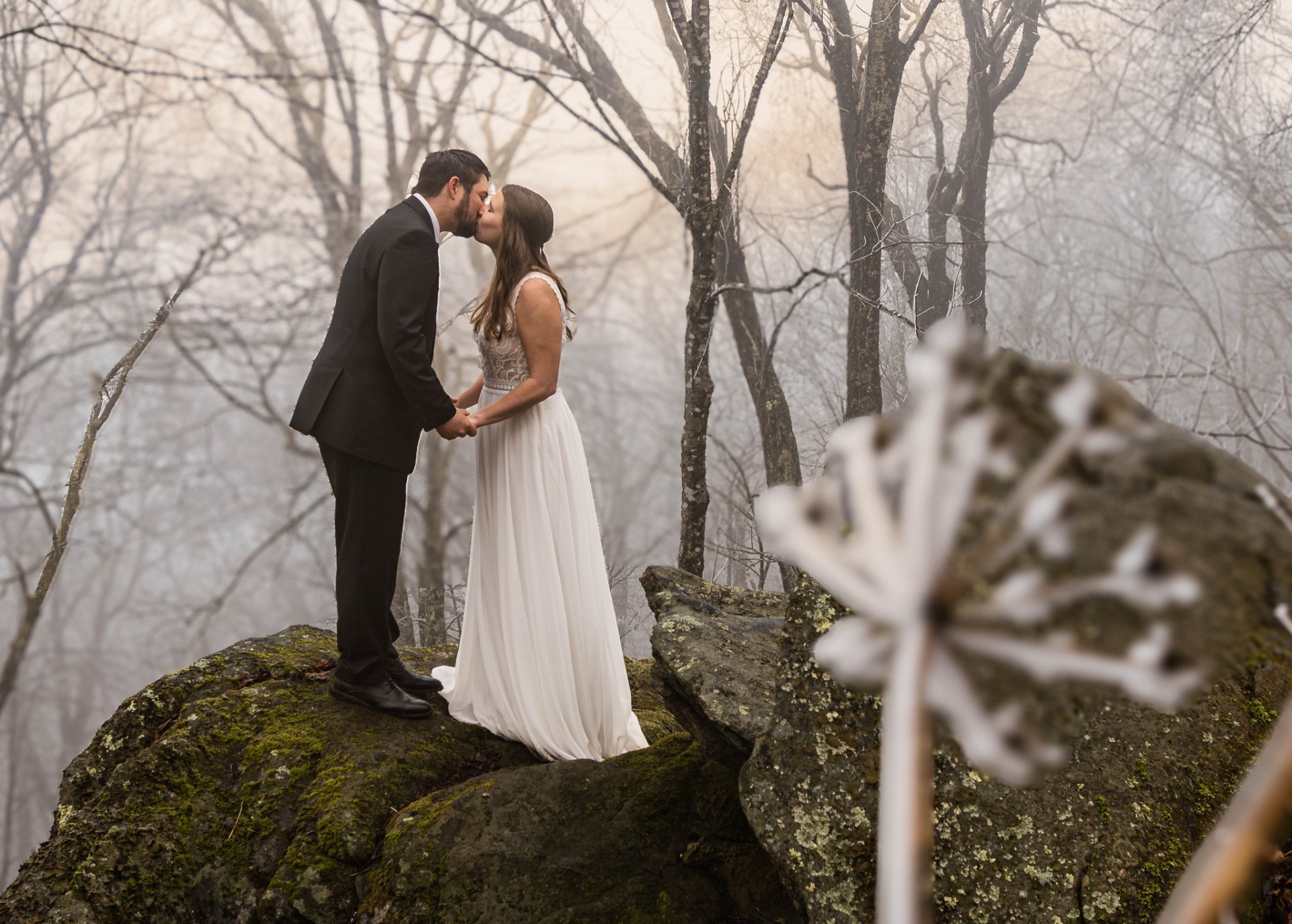 Wedding Photographer Asheville